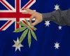 buyers-guide-for-cbd-in-australia.webp